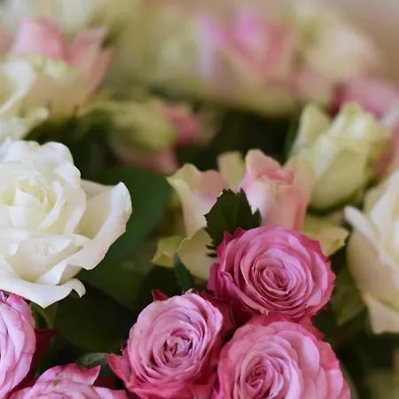 Und Gaestezimmer Peter Busch * 베른카슈텔쿠에스