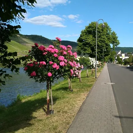 Und Gaestezimmer Peter Busch *