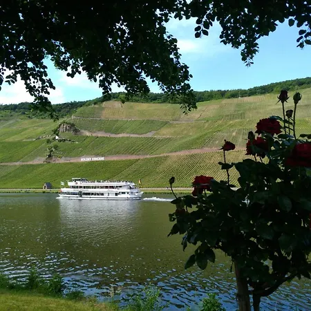 아파트 Und Gaestezimmer Peter Busch 베른카슈텔쿠에스