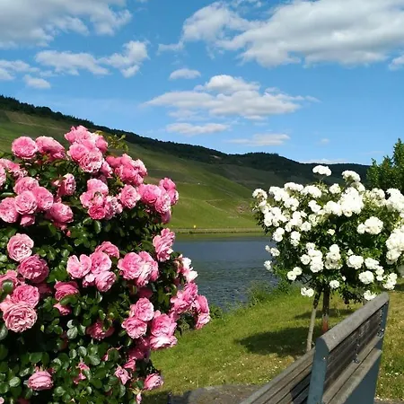 Διαμέρισμα Und Gaestezimmer Peter Busch *