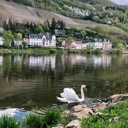 Und Gaestezimmer Peter Busch Appartement Commune fusionnée de Bernkastel-Kues