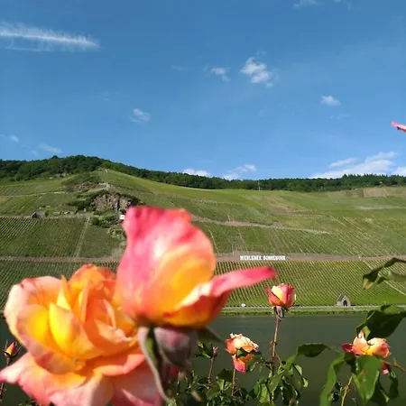 Und Gaestezimmer Peter Busch * Commune fusionnée de Bernkastel-Kues