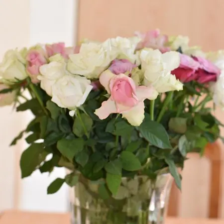 Διαμέρισμα Und Gaestezimmer Peter Busch *