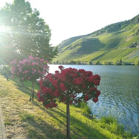 Und Gaestezimmer Peter Busch Bernkastel-Kues
