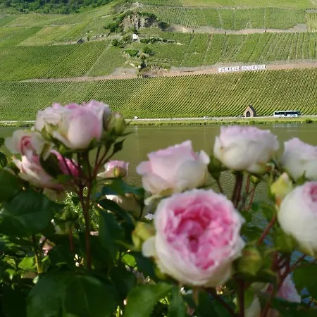 Und Gaestezimmer Peter Busch Commune fusionnée de Bernkastel-Kues