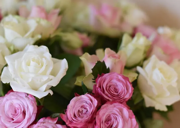 Und Gaestezimmer Peter Busch * 베른카슈텔쿠에스