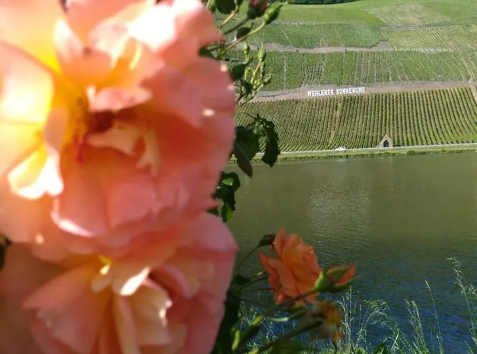 Und Gaestezimmer Peter Busch 아파트 베른카슈텔쿠에스