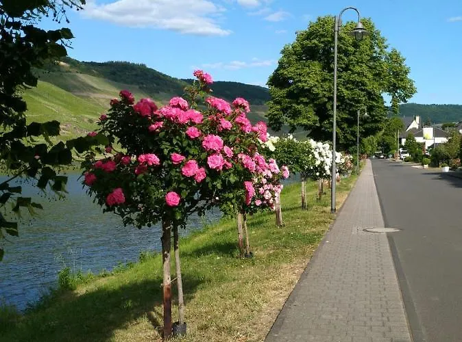 Und Gaestezimmer Peter Busch *