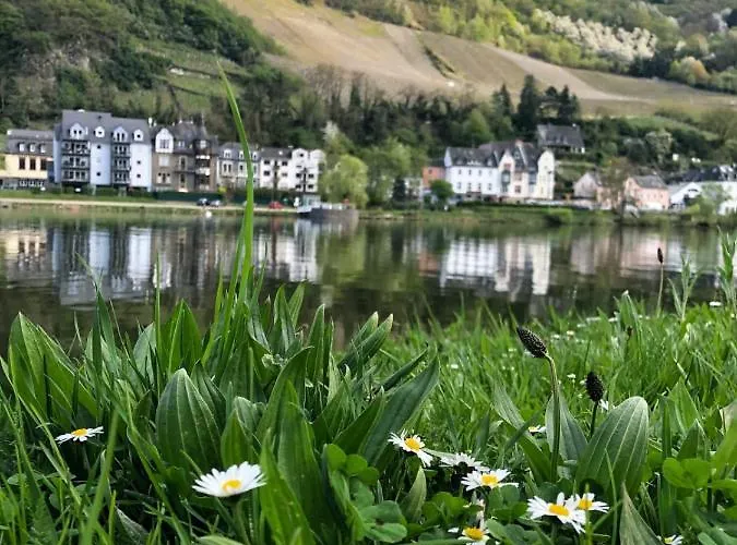 Und Gaestezimmer Peter Busch アパート