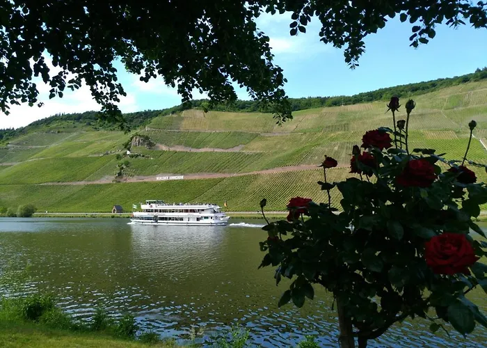 アパート Und Gaestezimmer Peter Busch ベルンカステル・クース