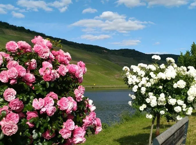 アパート Und Gaestezimmer Peter Busch *