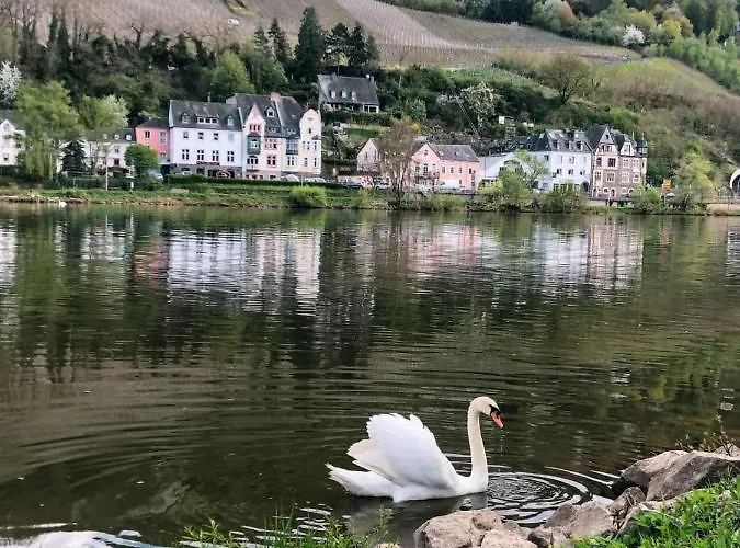 Und Gaestezimmer Peter Busch 아파트 베른카슈텔쿠에스