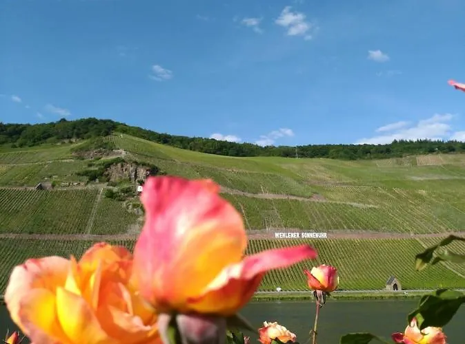 Und Gaestezimmer Peter Busch * Bernkastel-Kues