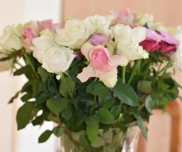 Apartment Und Gaestezimmer Peter Busch *