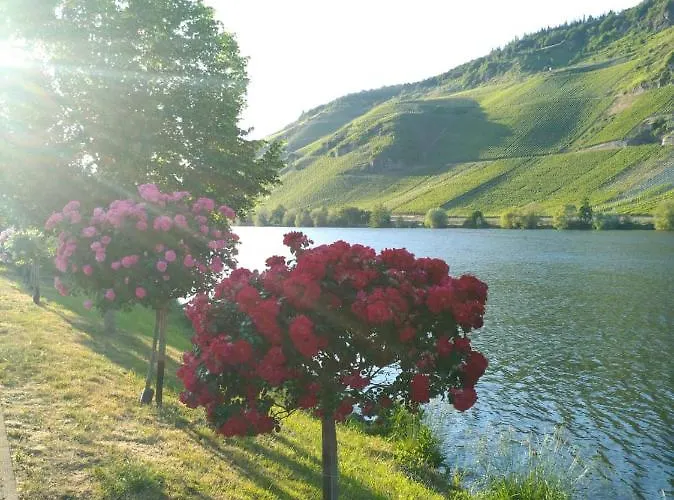 Und Gaestezimmer Peter Busch Bernkastel-Kues