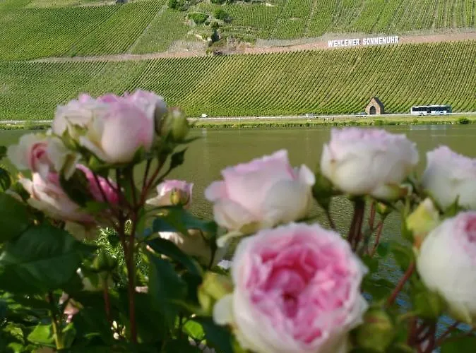 Und Gaestezimmer Peter Busch 베른카슈텔쿠에스