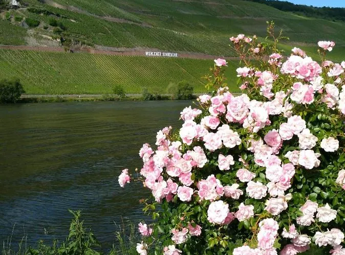 Und Gaestezimmer Peter Busch アパート *